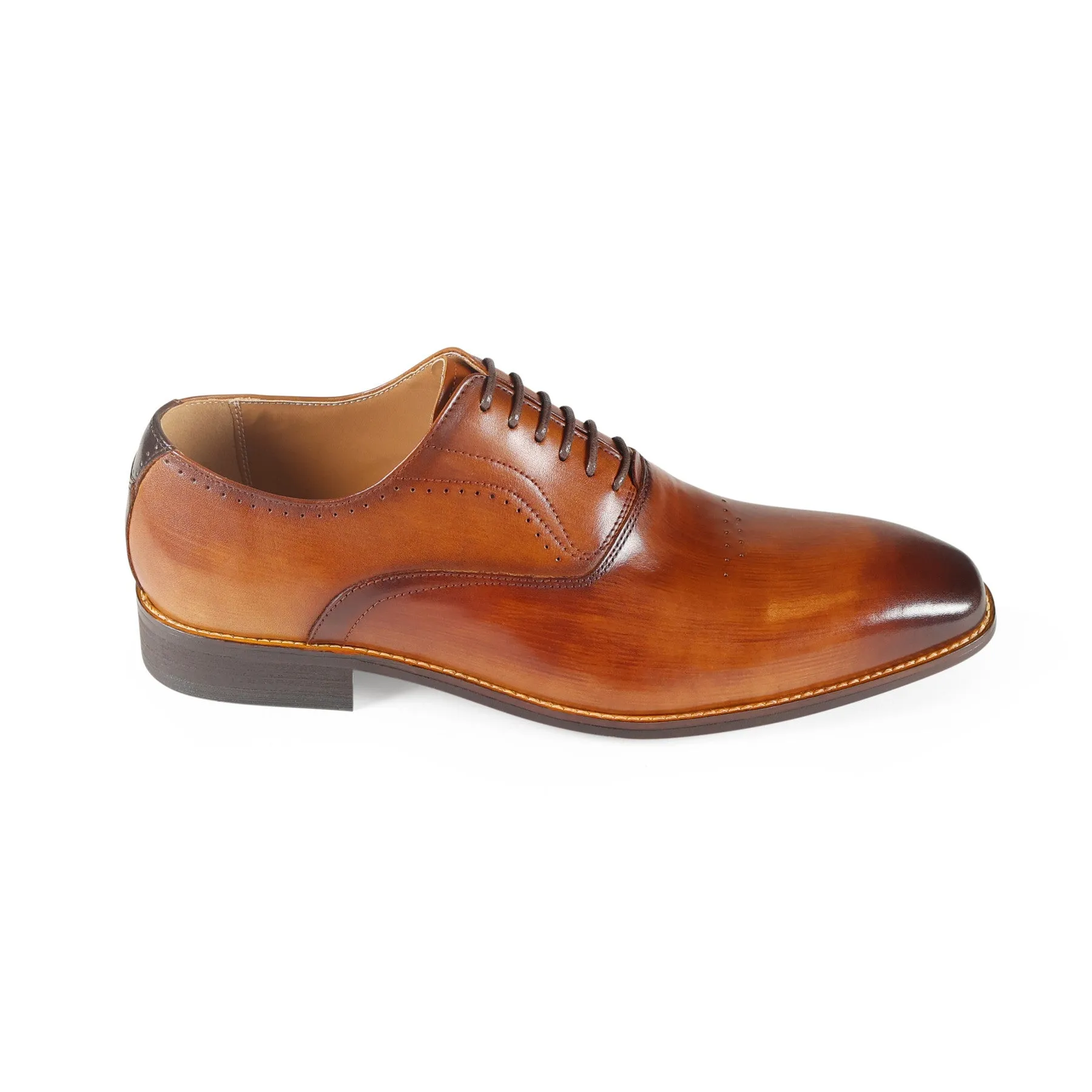 Azor La Moda Pompei Derby -Tan